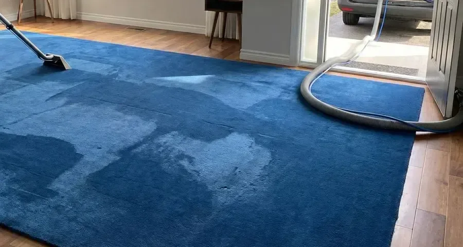 Extraction wand and hose resting across a blue area rug