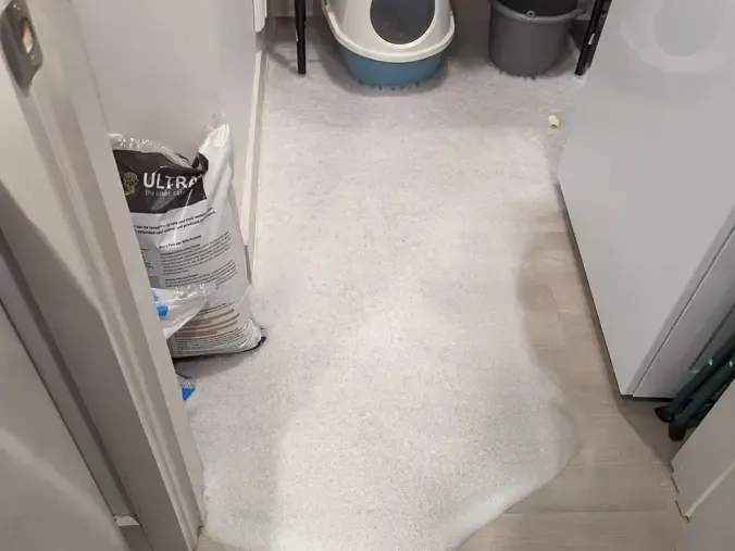 Soapy water covering the floor between appliances in a laundry room
