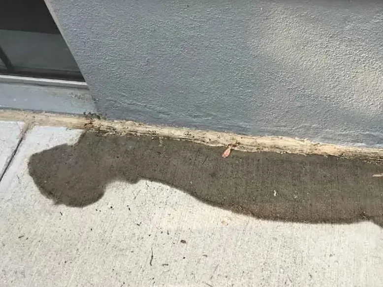 Wet patch spreading across concrete along the base of a wall