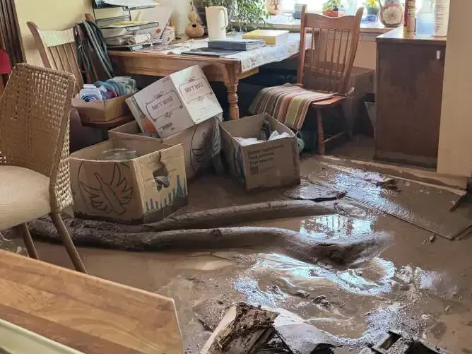 Muddy water covering a furnished room floor around boxes and chairs